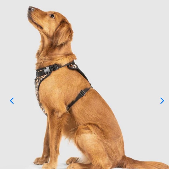 Canada Pooch, The Everything Harness Water-Resistant Series, Size Medium (M) - Picture 4 of 10